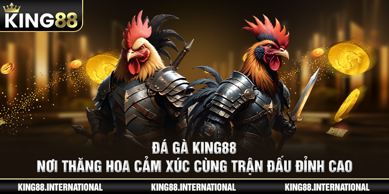 Đá Gà King88 – Nơi Thăng Hoa Cảm Xúc Cùng Trận Đấu Đỉnh Cao